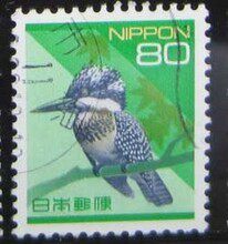 日本：冠鱼狗翠鸟