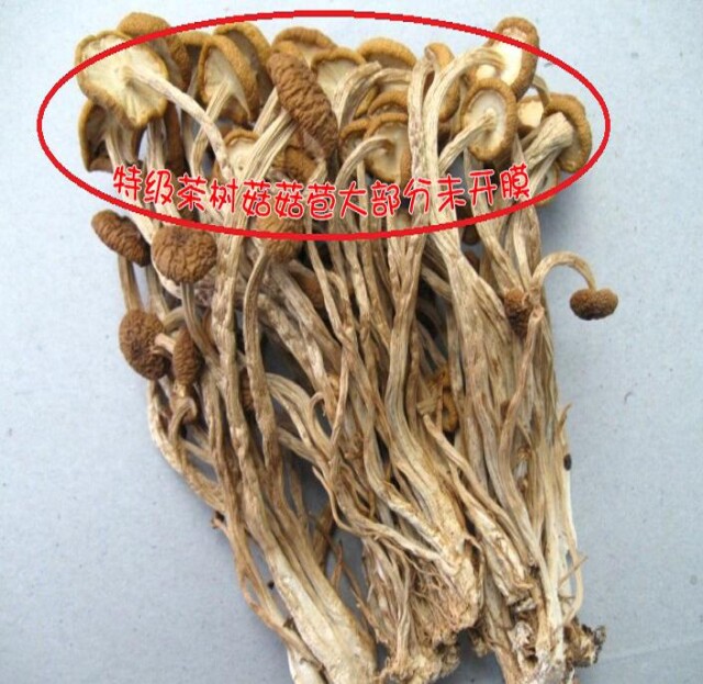 一斤包邮 出口级茶树菇干货 茶薪菇 盖嫩柄脆 好评如潮 新货200g