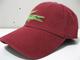 国际著名品牌“LACOSTE