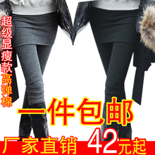 2012春款女装打底裤裙 加厚纯棉保暖打底裤 裙裤女 薄款打底裤 女