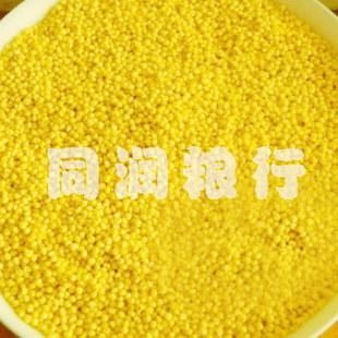 真心推荐年新货 杂粮 粗粮 优质东北小米 大黄米 糯黄米500g