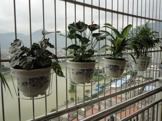 铁艺花篮 阳台花架子栏杆护栏挂式花盆架窗台悬挂在类目 住宅家具, 架类, 花架/花几中 - 来自Buy2taobao.com提供专业的淘宝代购服务