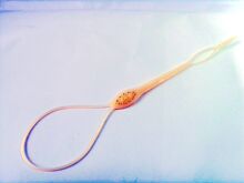 ��������Ʒ    ������30202     ����ר�ù���   ���ͷ��ͽ̳�