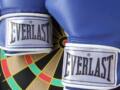 everlast 拳击手套 送绑手带