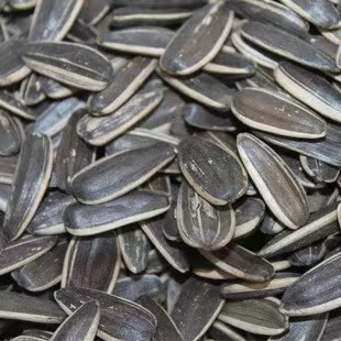  临安特产 水煮葵花籽五香味 低盐 炒货奶油味/原味/瓜子250克