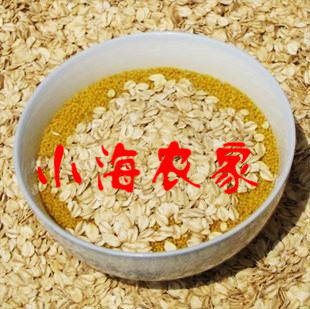  新货小海农家特产燕麦片野麦片 五谷杂粮原生态食疗养生