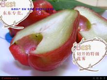 最好莲雾高档水果海南特级牛奶莲雾新鲜水果包邮顺丰快递新摘5斤