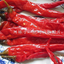 老坛子泡 川菜的灵魂 四川泡菜——泡红辣椒 提味超级棒