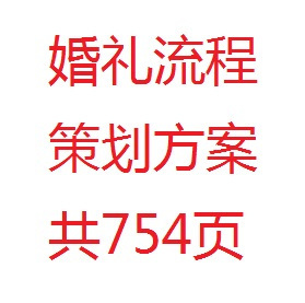 详细婚礼策划方案大全N多个（共754页）