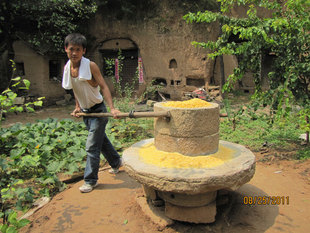  返璞归真 山西石磨玉米面粉 农家自产面粉 年新玉米面