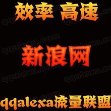 新浪博客 新浪博客文章 新浪博客推广 文章推广策划