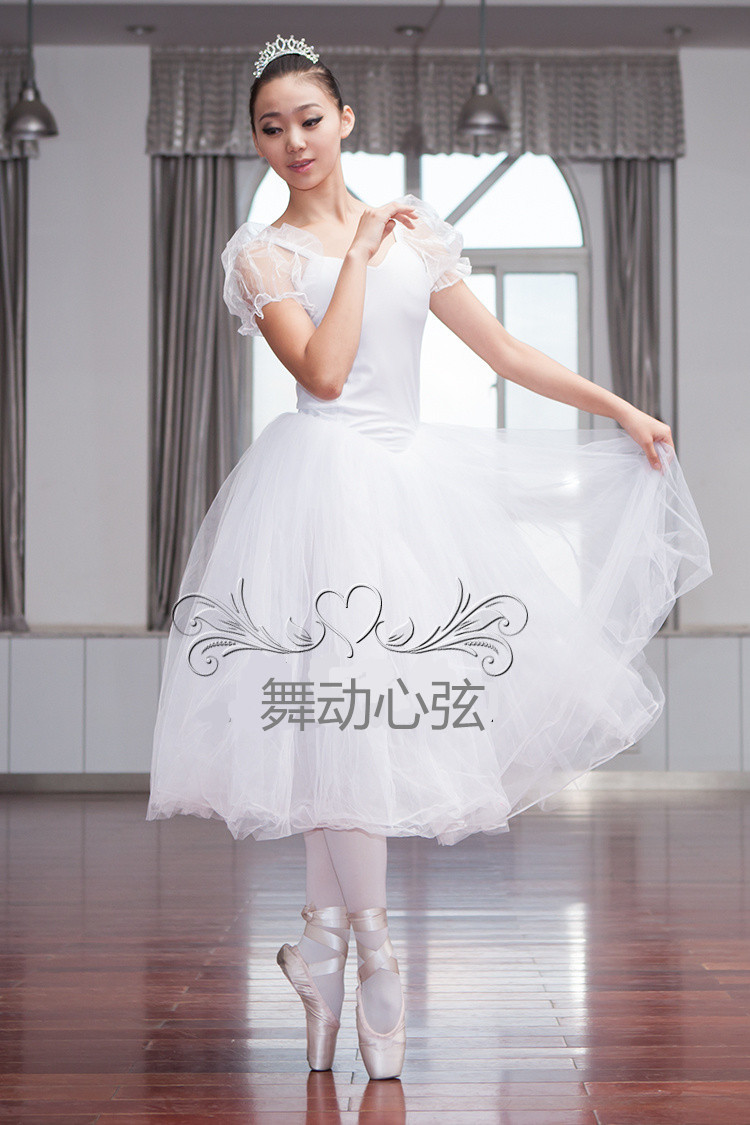 成人專業芭蕾舞蹈演出服裝芭蕾舞仙女白紗泡泡袖長裙蓬蓬連體裙在類目 運動/瑜伽/健身/球迷用品, 舞蹈/健美操/體操, 芭蕾舞, 芭蕾舞演出服中 - 來自Buy2taobao.com提供專業的淘寶代購服務