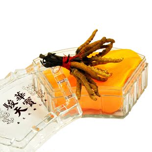  骏华天宝野生冬虫夏草批发 正品青海冬虫草同仁堂级4条/g包邮礼盒
