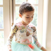 韩国童装女童2014春装款，田园风印花花朵，儿童长袖t恤打底衫