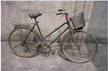收藏极品车。只有更贵，每天上涨1元