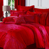 �����ҷĻ���ȫ��б��ʮ���� AY833-10������Ե