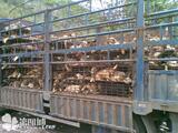 taobao english 13930040635