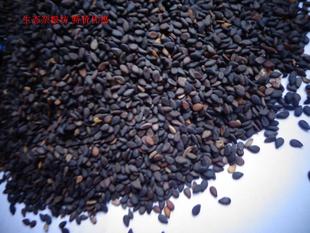  新货促销五谷杂粮散装 特级天然黑芝麻 生黑芝麻 乌发补肾粮食