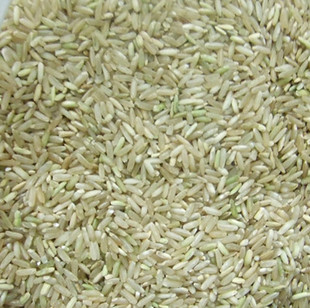  满包邮兴宁农村人家自种大米早米糙米农家米营养丰富含多种维生