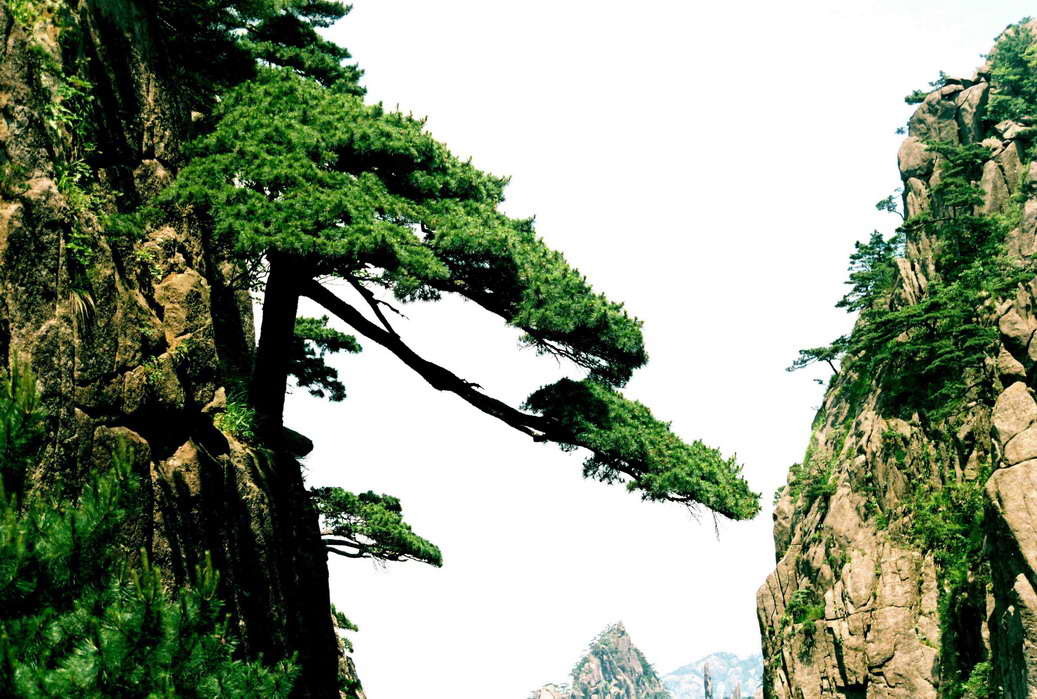 上海黄山门票团购,上海黄山门票打折优惠,上海