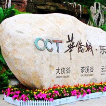 深圳东部华侨城门票 大峡谷门票 华侨城门票 一日两日套票