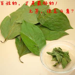  年采摘绿色天然 柿子叶 同仁堂精选 可做面膜 降三高 柿叶茶