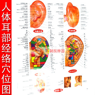 前列腺按摩器 送 早泄早泻阳萎 爱爱超1小时 1