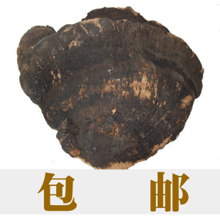  包邮东南亚野生薄树芝薄盖灵芝 红斑狼疮肌肉萎缩抗衰老补肾 250g