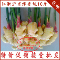 药引子用-子用蝎粘谷!东北特产红谷!去了壳火腿古剑就是图片