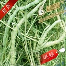 绿提摩西草 混苜蓿草更佳 提摩西 干草【京6斤包邮】送试吃