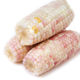  上海11.23迷你紫糯玉米6斤 新鲜杂粮 嫩软香糯 健康食品 限上海
