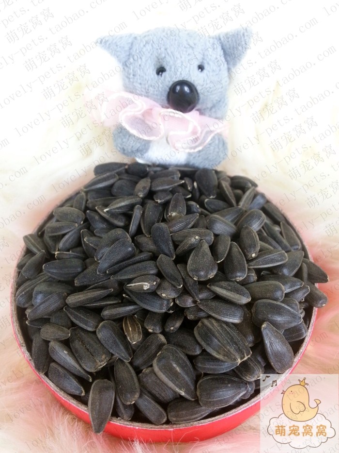 Adorable litters Hamsters Dedicated Black melon seed 40g Hamsters love snacks melon seed snacks Enhance physical fitnessin the Pet/Pet food and supplies , Class pet hamsters and other small , Feed/Snacks category - from Buy2taobao.com to provide professional Taobao agent buy service