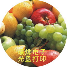 相片贴纸 光盘打印纸 照片打印贴纸 防水光盘贴纸 金兰光盘贴