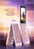 ���������� OPPO U529 U525�����ֻ� ˫��˫��+˫����+2009��̨QQ