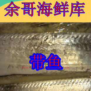  新品上市 余哥海鲜库 水产品 新鲜带鱼