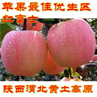  精品特级新鲜水果陕西渭北白水洛川大荔特产红富士苹果红酥脆甜