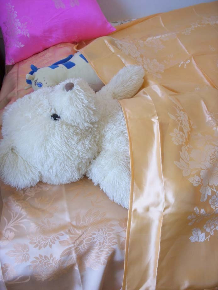 真絲睡袋*真絲被套參考圖在類目 牀上用品, 被套中 - 來自Buy2taobao.com提供專業的淘寶代購服務