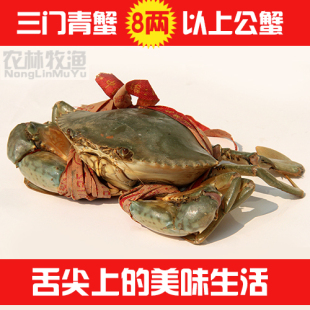  海鲜青蟹三门青蟹大肉蟹公螃蟹产地直销8两到1斤肉蟹公蟹礼盒装