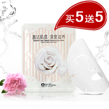 修花堂精华肌底保养补水面膜22g细致毛孔 紧致肌肤 买5送5