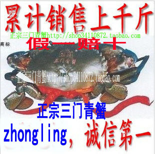  青蟹  醉螃蟹水产海鲜鲜活三门青蟹红膏4-7两 三门青蟹