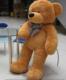 韩国恋人1.6米棕色大抱熊大熊