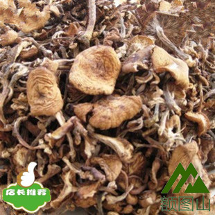  东北野生蘑菇臻蘑 特级特价香菇松蘑干货有机绿色野菜250g批发价
