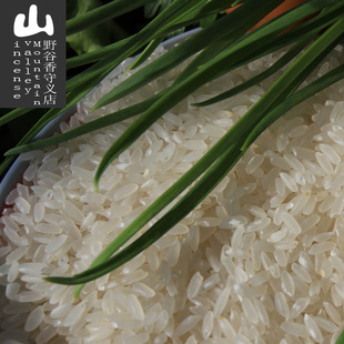 23年新米五常大米，稻花香米黑龙江东北新长粒香粳米