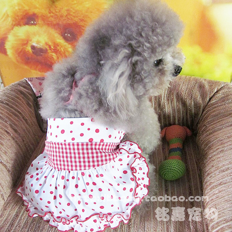 2款包邮*宠物衣服 小狗衣服春夏 泰迪衣服 宠物服装 圆点公主裙在类目 宠物/宠物食品及用品, 宠物服饰及配件, 宠物服装/雨衣中 - 来自Buy2taobao.com提供专业的淘宝代购服务
