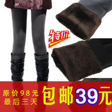 包邮2011秋冬时尚卡拉绒显瘦打底裤女加绒加厚保暖靴裤不起球裤子