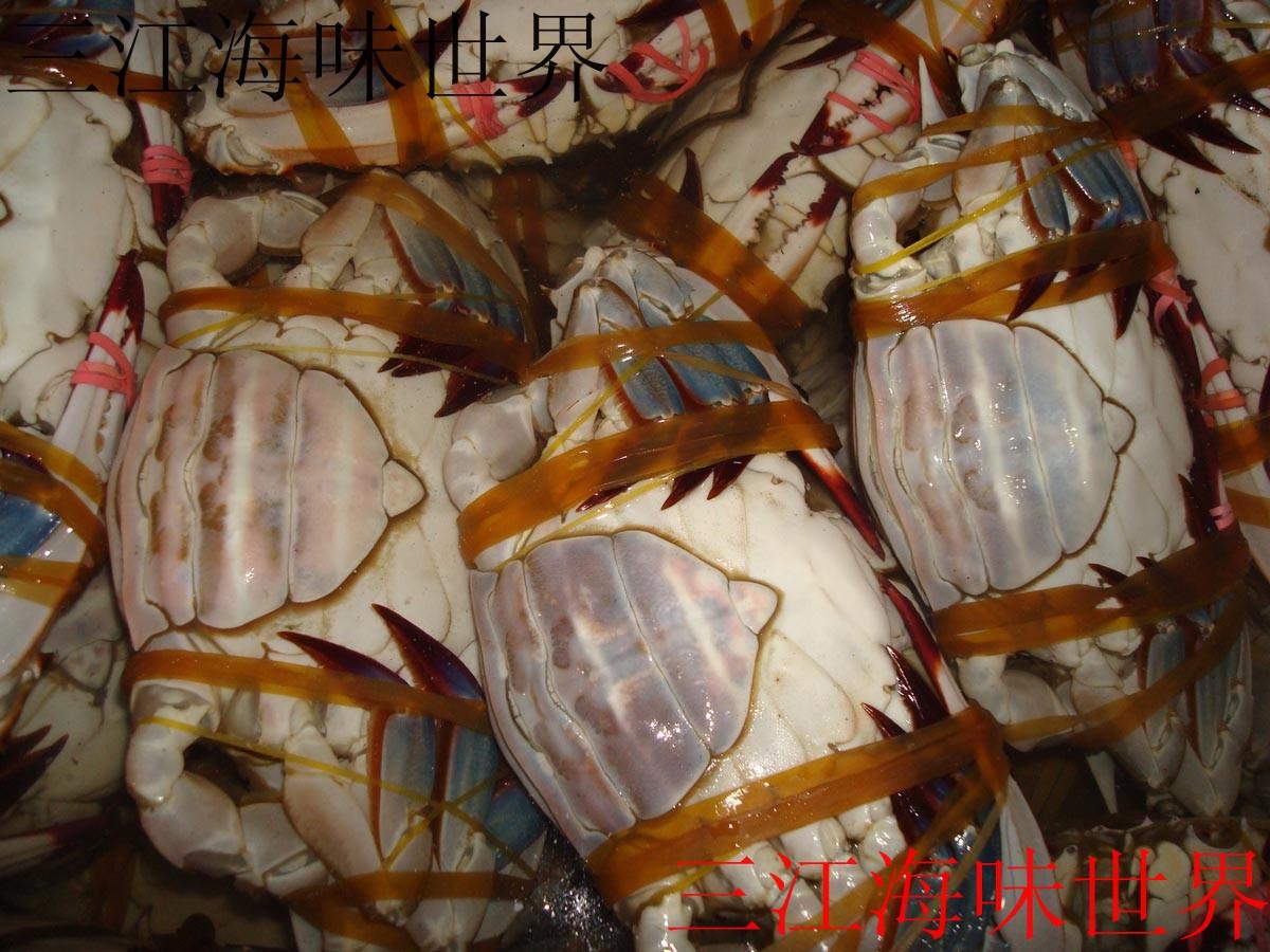 三江野生紅膏嗆蟹鹹蟹炝蟹 現腌現賣鹹梭子蟹 81元/300g-350g在類目 水產肉類/新鮮蔬果/熟食, 海鮮/水產品/製品, 蟹類, 蟹類製品中 - 來自Buy2taobao.com提供專業的淘寶代購服務