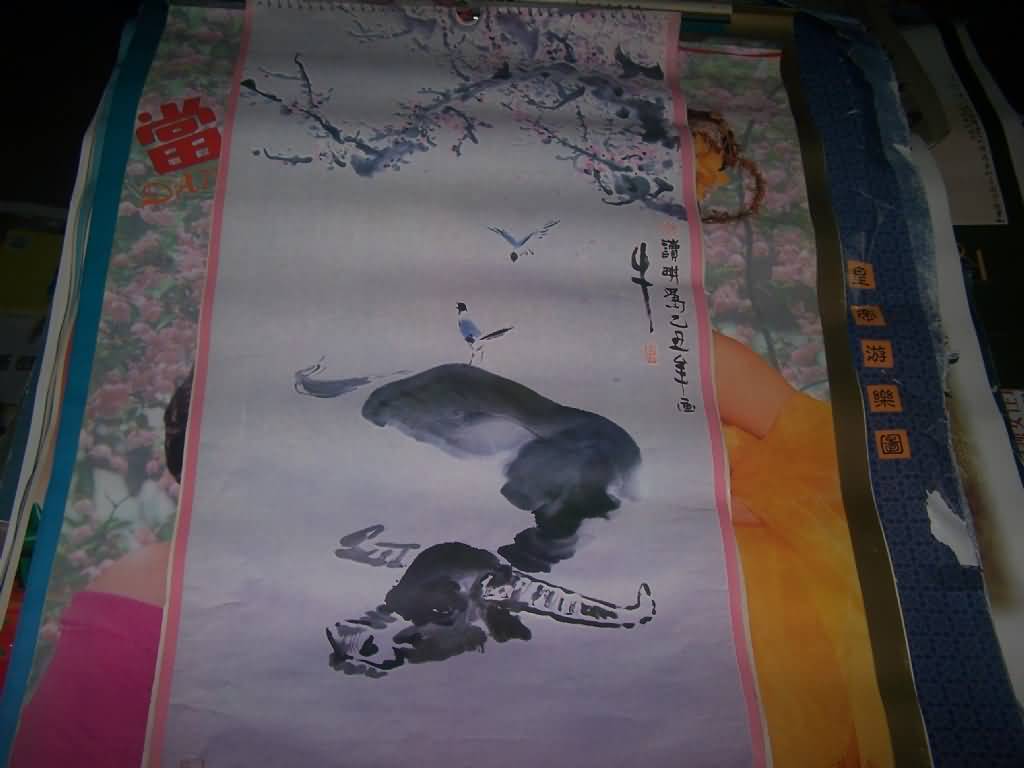 油菜花特写照片_