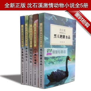  正版包邮 沈石溪动物小说全套 黑天鹅紫水晶,老象恩仇记1-5册