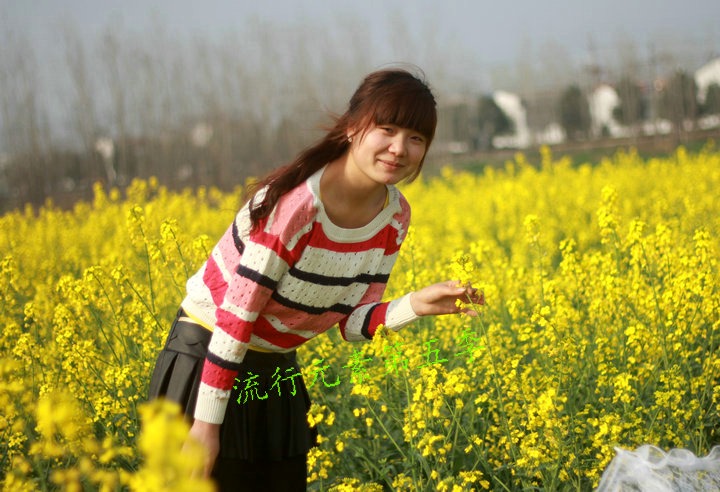 春夏款 女 套头衫 针织衫 清爽针织衫圆领 毛衣 针织 特 促销在类目 孕妇装/孕产妇用品/营养, 孕妇装, 针织衫中 - 来自Buy2taobao.com提供专业的淘宝代购服务
