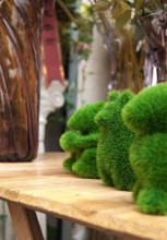 ��Ȩ��ƷGrass Land��ɫС��������ݰ��� (������ƣ��) ��װ